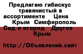 Предлагаю гибискус травянистый в ассортименте. › Цена ­ 300 - Крым, Симферополь Сад и огород » Другое   . Крым